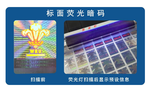 化学茄子视频懂你