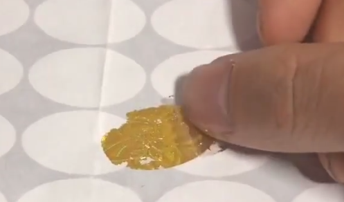 激光茄子视频懂你标签.png