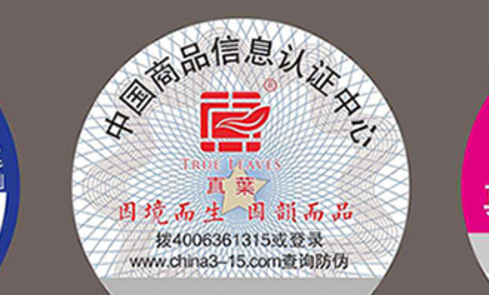 茄子视频懂你二维码.png